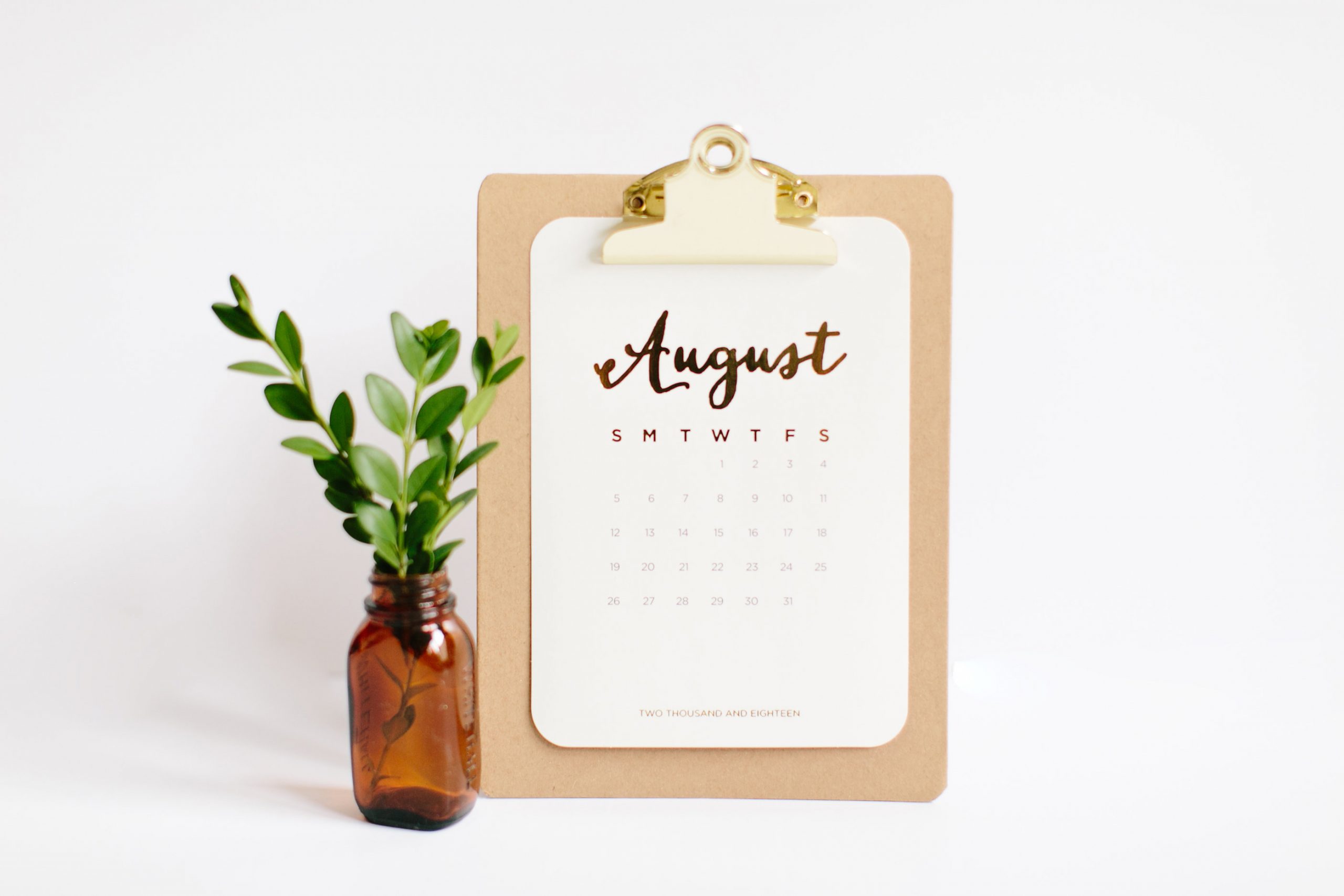 August 2019 Newsletter