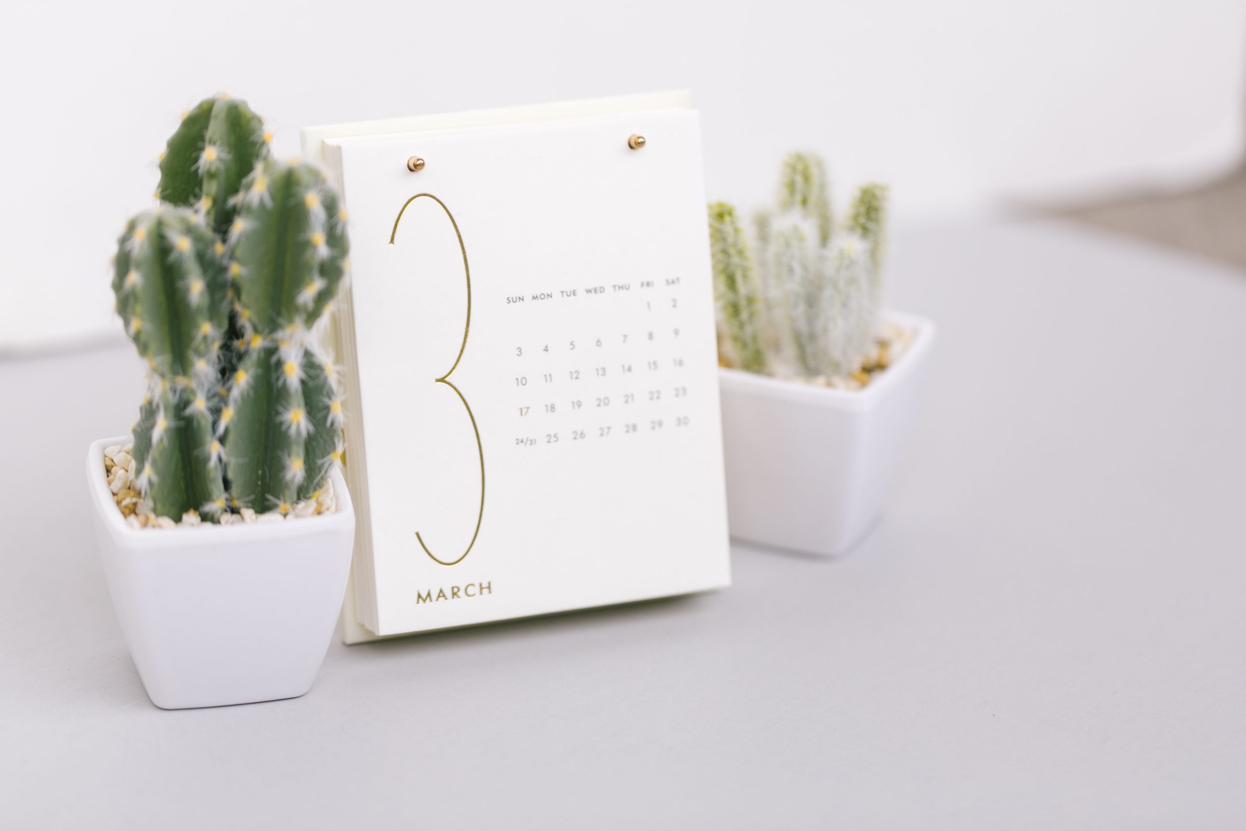 March 2019 Newsletter